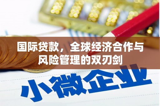 资溪国际贷款，全球经济合作与风险管理的双刃剑