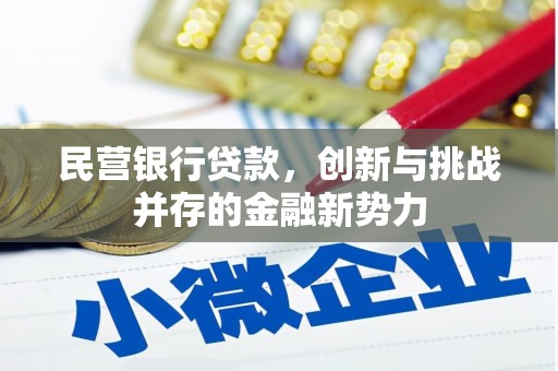 资溪民营银行贷款，创新与挑战并存的金融新势力