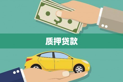 资溪质押贷款