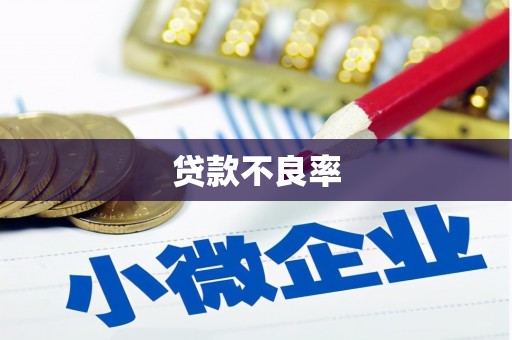 资溪贷款不良率