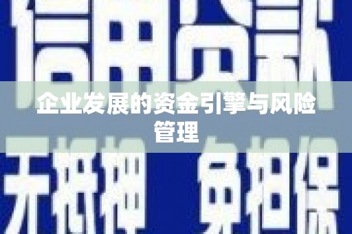 资溪企业发展的资金引擎与风险管理