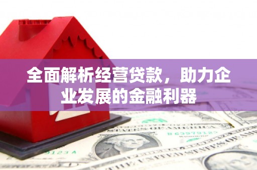 资溪全面解析经营贷款，助力企业发展的金融利器
