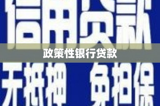 资溪政策性银行贷款