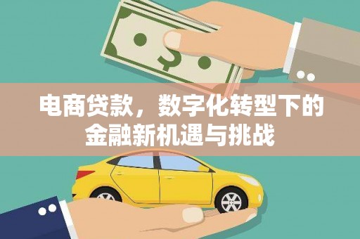 资溪电商贷款，数字化转型下的金融新机遇与挑战
