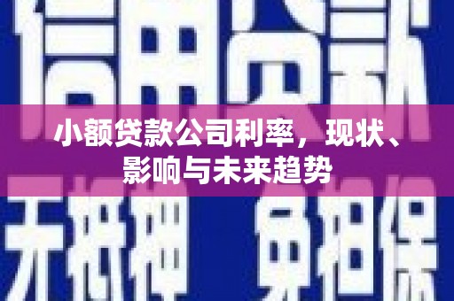 资溪小额贷款公司利率，现状、影响与未来趋势