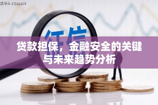 资溪贷款担保，金融安全的关键与未来趋势分析