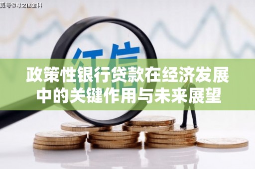 资溪政策性银行贷款在经济发展中的关键作用与未来展望