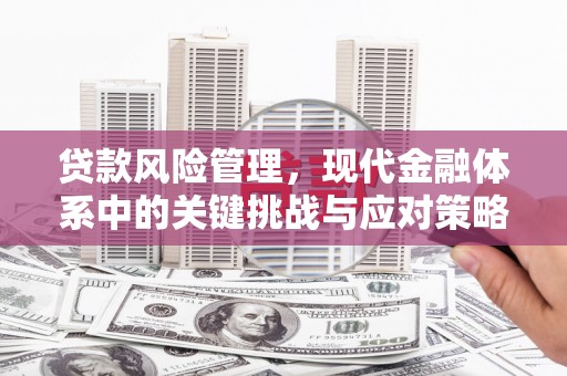 资溪贷款风险管理，现代金融体系中的关键挑战与应对策略