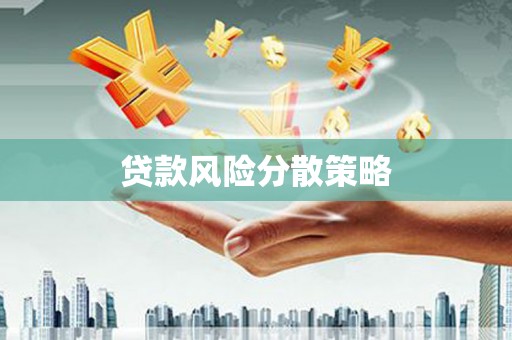 资溪贷款风险分散策略