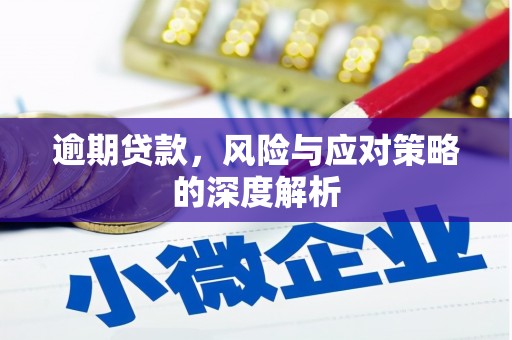 资溪逾期贷款，风险与应对策略的深度解析