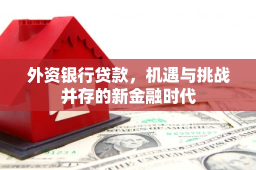 资溪外资银行贷款，机遇与挑战并存的新金融时代