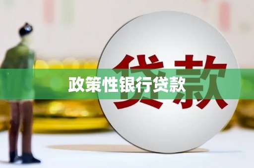 资溪政策性银行贷款