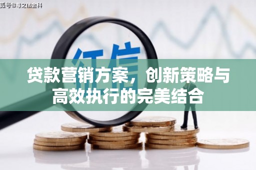 资溪贷款营销方案，创新策略与高效执行的完美结合