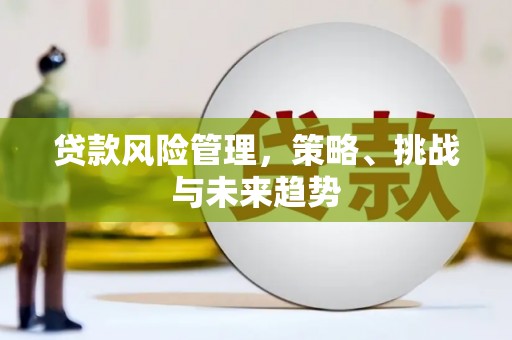 资溪贷款风险管理，策略、挑战与未来趋势