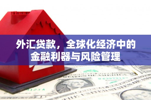 资溪外汇贷款，全球化经济中的金融利器与风险管理