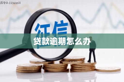资溪贷款逾期怎么办