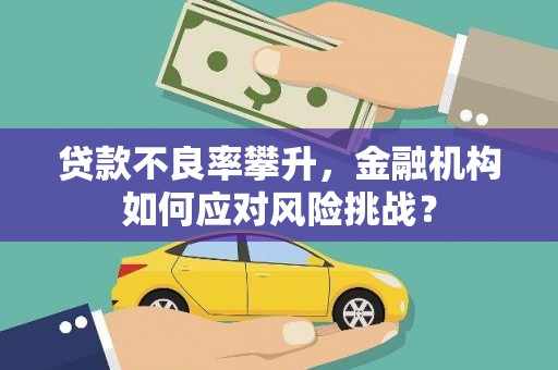 资溪贷款不良率攀升，金融机构如何应对风险挑战？