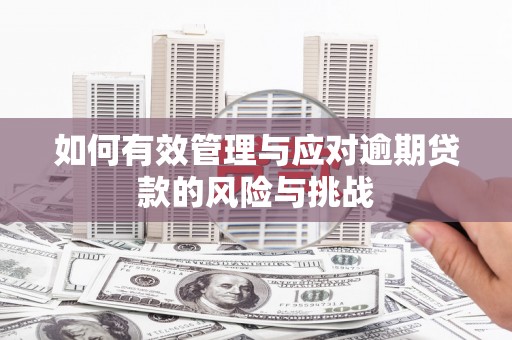 资溪如何有效管理与应对逾期贷款的风险与挑战