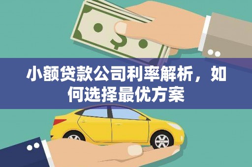 资溪小额贷款公司利率解析，如何选择最优方案