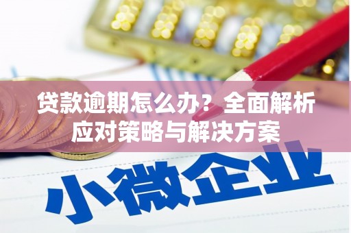 资溪贷款逾期怎么办？全面解析应对策略与解决方案