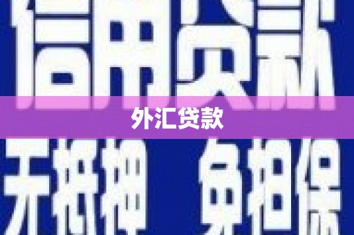 资溪外汇贷款