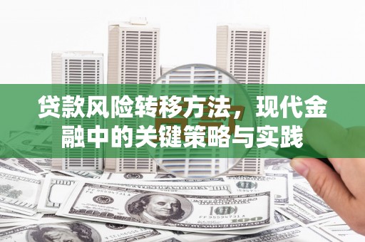 资溪贷款风险转移方法，现代金融中的关键策略与实践