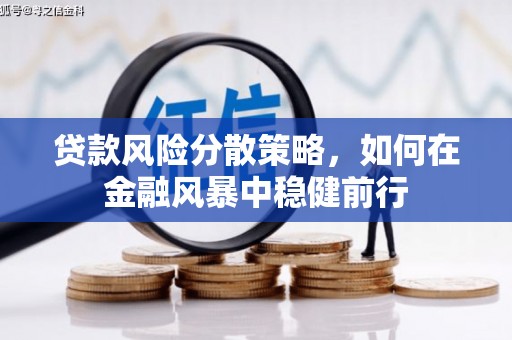 资溪贷款风险分散策略，如何在金融风暴中稳健前行