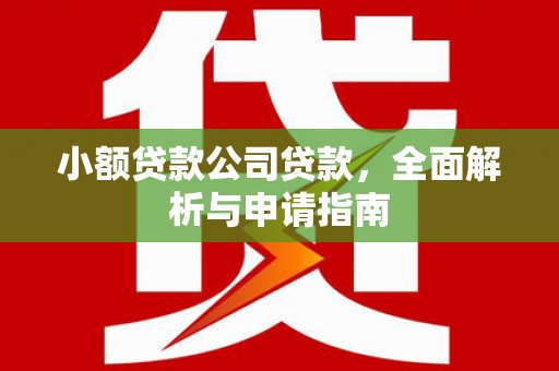 资溪小额贷款公司贷款，全面解析与申请指南