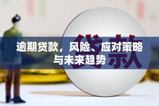 资溪逾期贷款，风险、应对策略与未来趋势