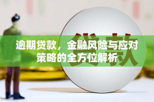 资溪逾期贷款，金融风险与应对策略的全方位解析