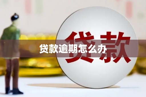 资溪贷款逾期怎么办