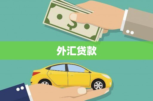 资溪外汇贷款