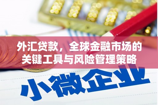 资溪外汇贷款，全球金融市场的关键工具与风险管理策略