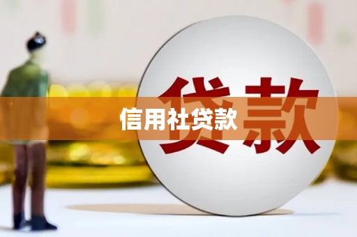 资溪信用社贷款