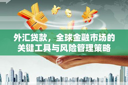 资溪外汇贷款，全球金融市场的关键工具与风险管理策略