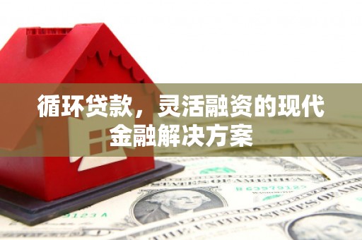资溪循环贷款，灵活融资的现代金融解决方案