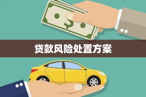 资溪贷款风险处置方案
