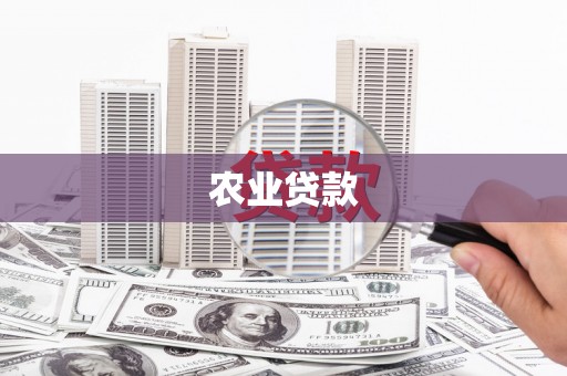 资溪农业贷款