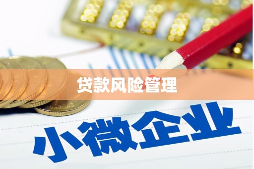 资溪贷款风险管理