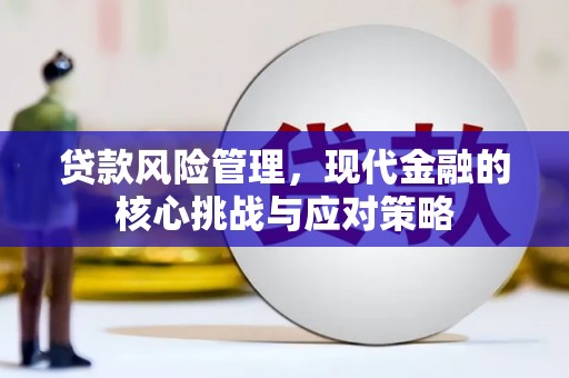 资溪贷款风险管理，现代金融的核心挑战与应对策略