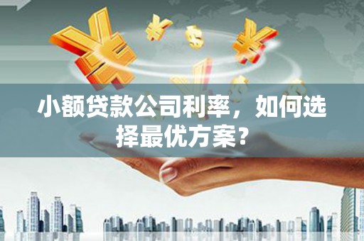 资溪小额贷款公司利率，如何选择最优方案？