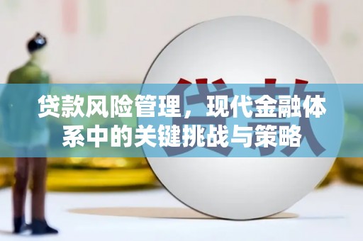 资溪贷款风险管理，现代金融体系中的关键挑战与策略