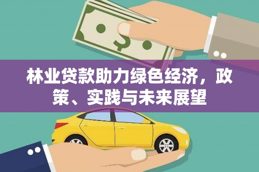 资溪林业贷款助力绿色经济，政策、实践与未来展望
