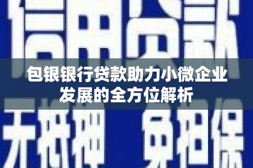 资溪包银银行贷款助力小微企业发展的全方位解析