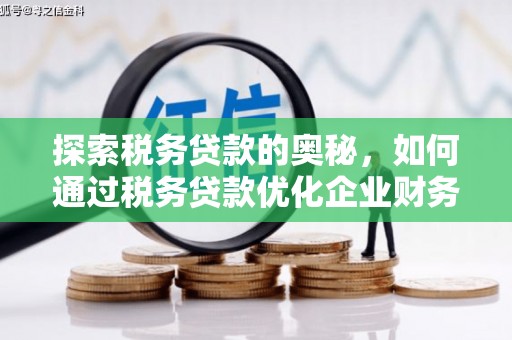 资溪探索税务贷款的奥秘，如何通过税务贷款优化企业财务