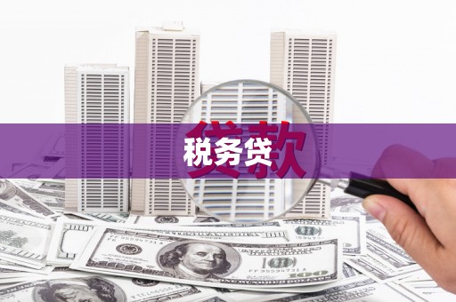 资溪税务贷