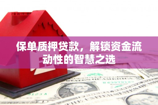 资溪保单质押贷款，解锁资金流动性的智慧之选