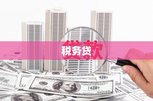 资溪税务贷