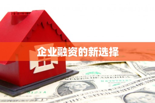 资溪企业融资的新选择