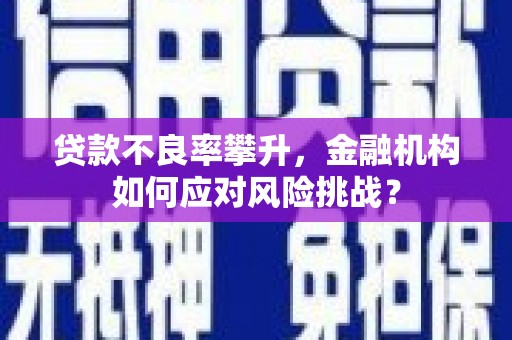 资溪贷款不良率攀升，金融机构如何应对风险挑战？